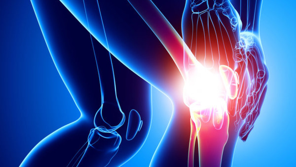 The Effectiveness of Rose-Hip Vital® with GOPO® on Osteoarthritis